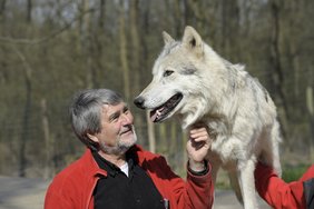 Kurt Kotrschal mit einem Wolf. 