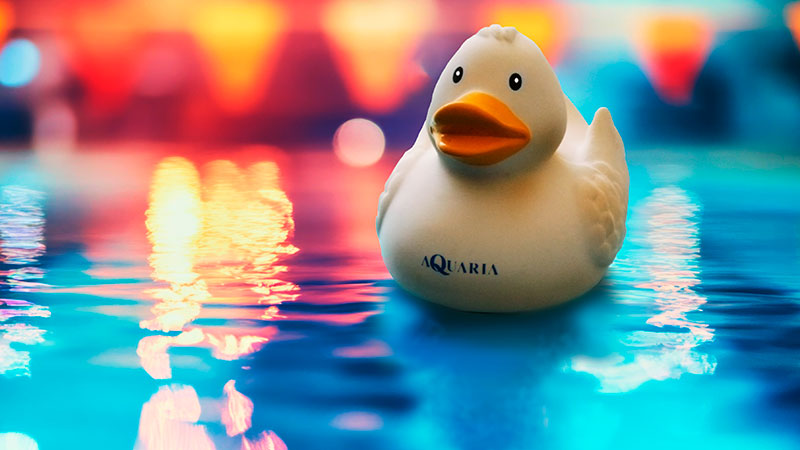 Visual der Aquaria-Nacht - Badeente